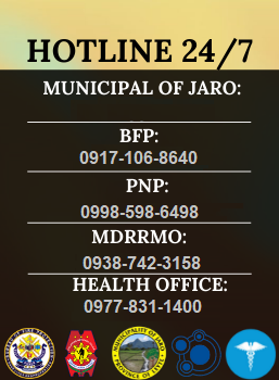 Hotline 24/7